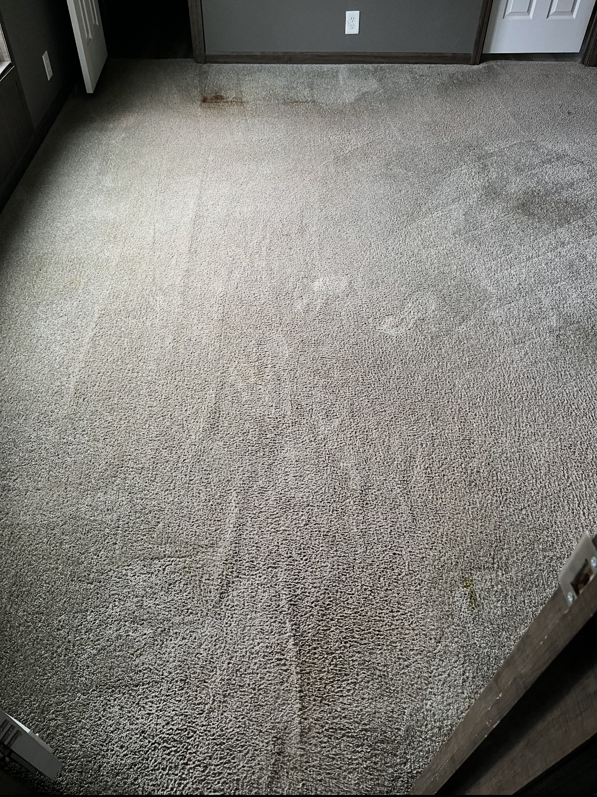 Carpet Cleaning in Livingston, MS