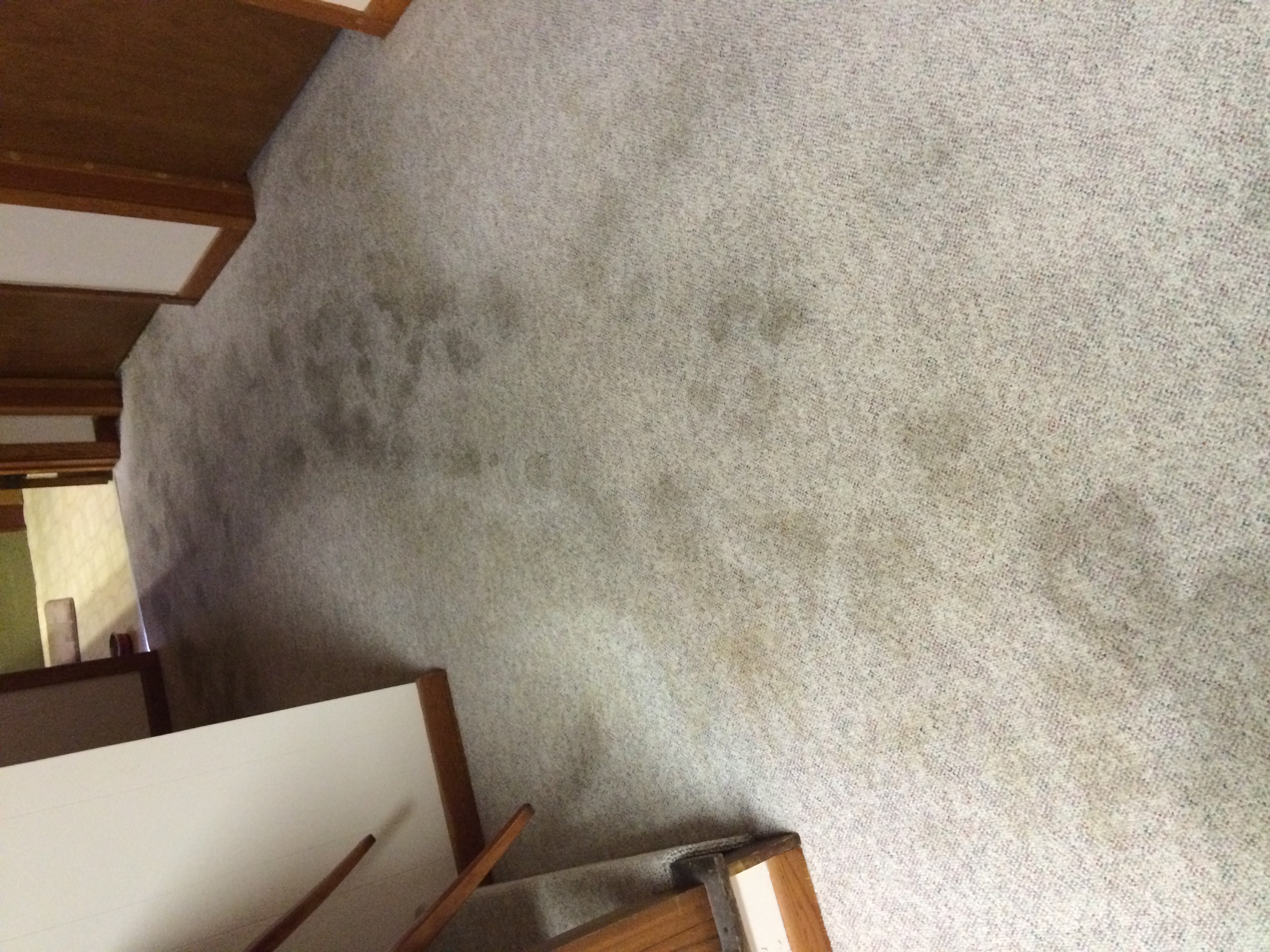 Tan carpet before cleaning